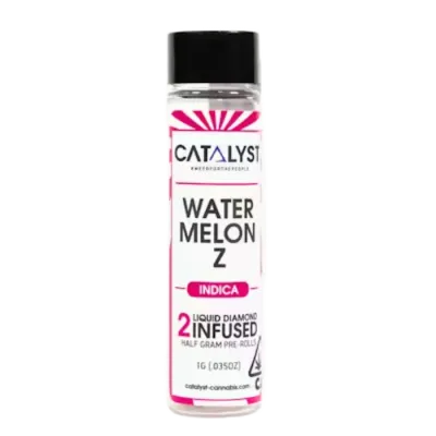 WATERMELON Z INFUSED PEREOLL 2 PACK 1G