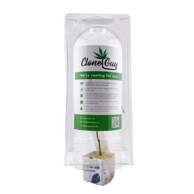 White Runtz Clone 1EA