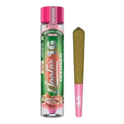 Watermelon ZKZ Infused Pre-roll Single 1G