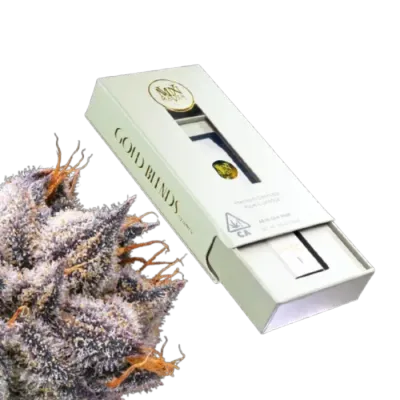 NEW MONEY ALL IN ONE 1G