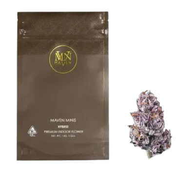 NEW MONEY MINIS 14G