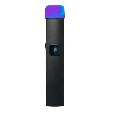 PlugPlay: Northern Lights