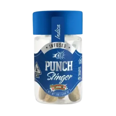 Punch — Summer Sandia Stingers