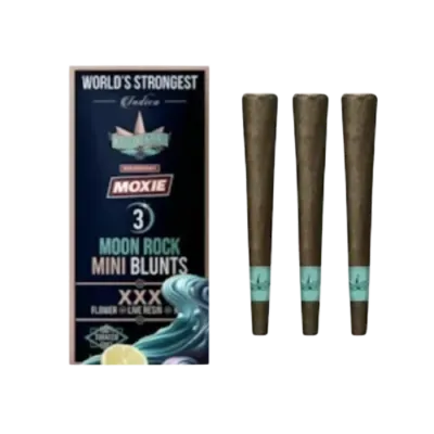 XXX INFUSED MINI BLUNTS 3 PACK 2.1G