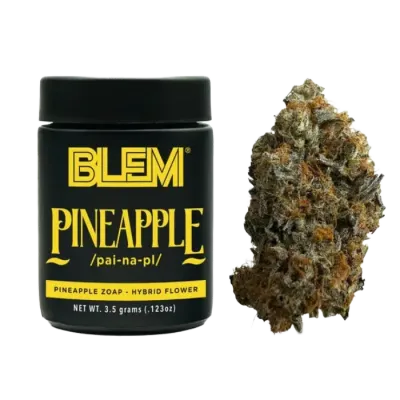 Pineapple 3.5G