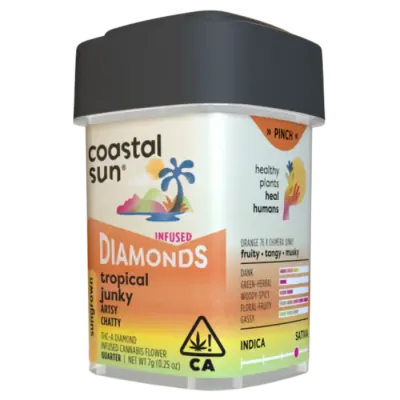 Coastal Sun — Tropical Junky
