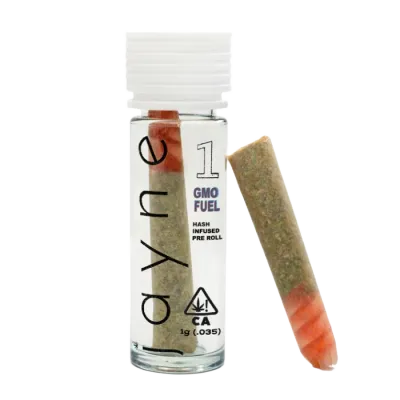 Zkywalker Infused Pre-roll Single 1G