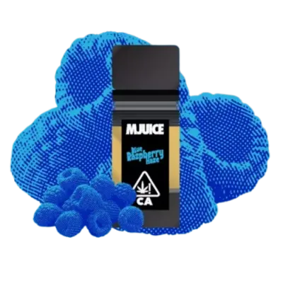 BLUE RASPBERRY HAZE POD 1G