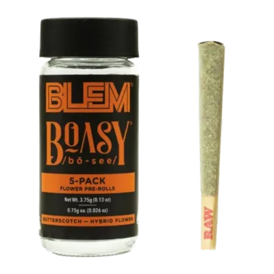 BLEM — Boasy