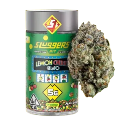 LEMON CHERRY GELATO 5G