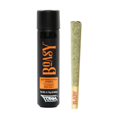 BLEM — Boasy Single