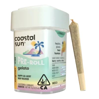 Coastal Sun — Gelato