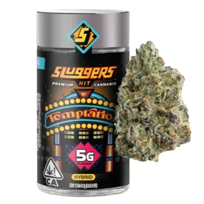 TEMPTATION 5G