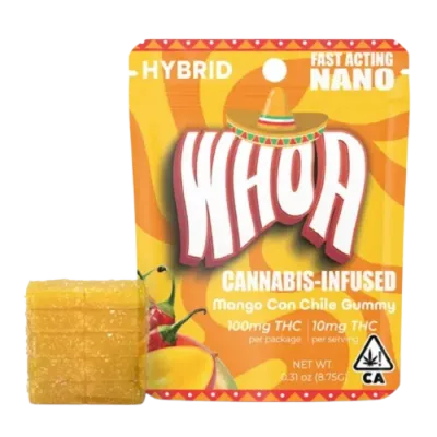 MANGO CON CHILE GUMMY SINGLE 100MG