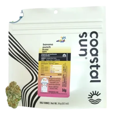 Coastal Sun — Banana Punch