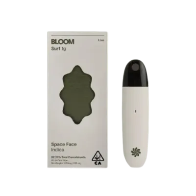 BLOOM — Space Face