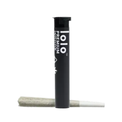 lolo — Blueberry Sherbet Single