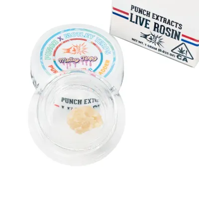 LIVE ROSIN BADDER TIER 4 [1G] PURPLE ZOWAHH - 1 G