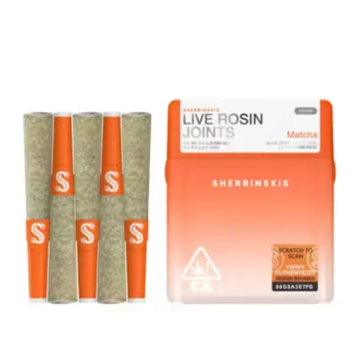 ROSIN INFUSED MINI PREROLL 5PK [2.5G] BISCOTTI BY DOJA - 2.5 G - 5 PACK