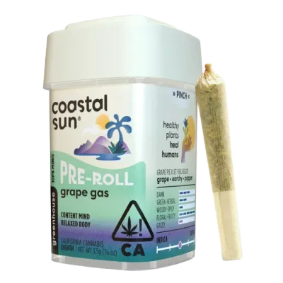 Coastal Sun: Grape Gas