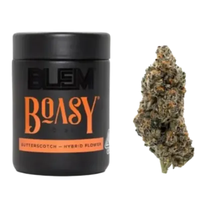 BOASY 3.5G