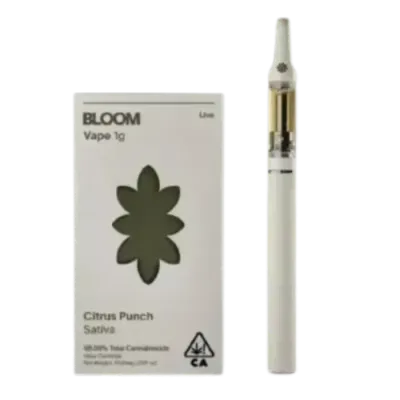 BLOOM: Citrus Punch