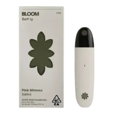 BLOOM — Pink Mimosa