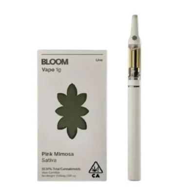 BLOOM — Pink Mimosa