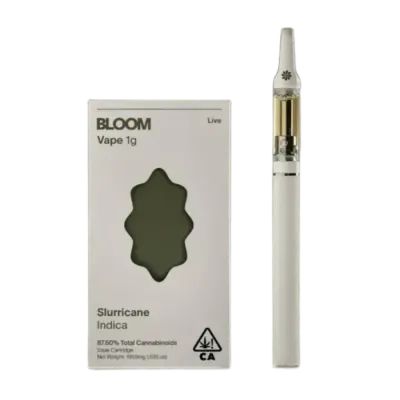BLOOM — Slurricane
