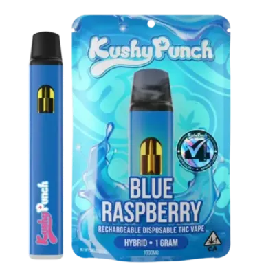 BLUE RASPBERRY ALL IN ONE 1G