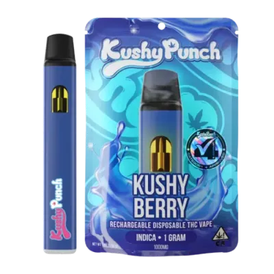 KUSHY BERRY ALL IN ONE 1G