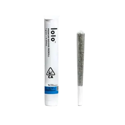 Blueberry Haze Infused Pre-roll Single 1G