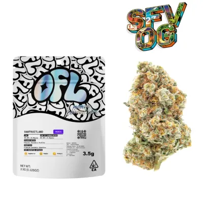 FLOWER [3.5G] SFV OG - 3.5 G