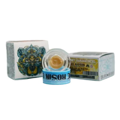Honey Banana Diesel Live Rosin (Tier 3) 1G