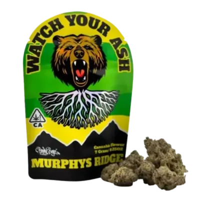 Murphys Ridge — Motorboat