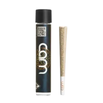 JACK HERER PRE-ROLL SINGLE 1G