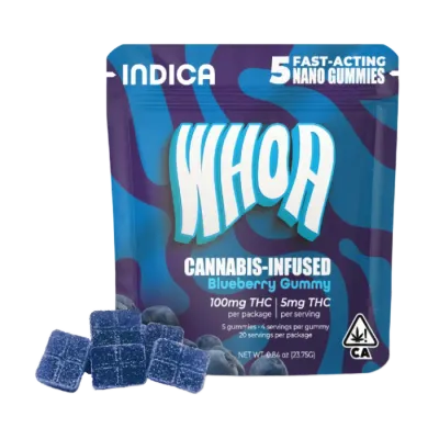 BLUEBERRY GUMMY 5 PACK 100MG