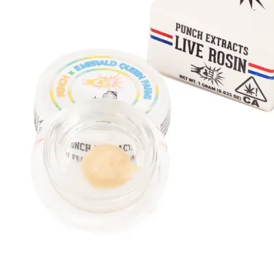LIVE ROSIN BADDER TIER 1 [1G] FRENCH TOAST - 1 G