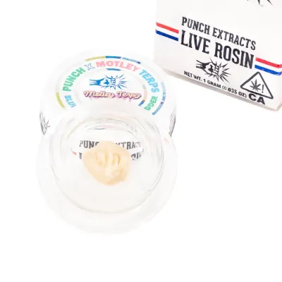 LIVE ROSIN BADDER TIER 4 [1G] BLUEBERRY MUFFINS - 1 G