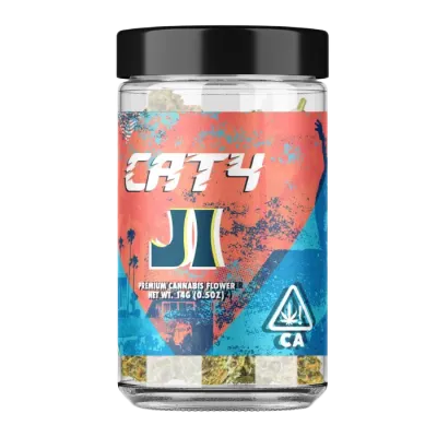 CAT4 — J1