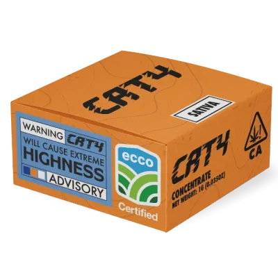 CAT4 — Guava Punch