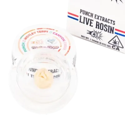 Grapefruit Pez Live Rosin (Tier 4) 1G