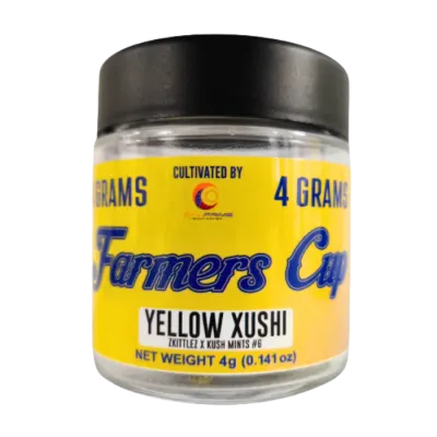 Yellow Xushi 4G