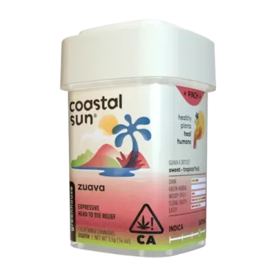 Coastal Sun — Zuava