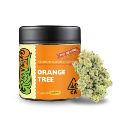 FLOWER [3.5G] ORANGE TREE - 3.5 G