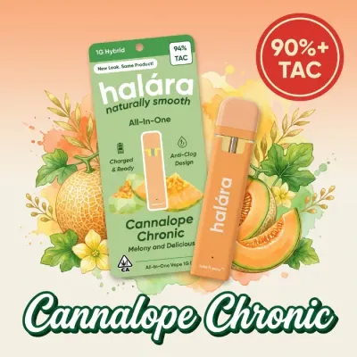 HIGH THC READY TO USE VAPORIZER [1G] CANNALOPE CHRONIC - 1 G