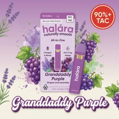 HIGH THC READY TO USE VAPORIZER [1G] GRANDDADDY PURPLE - 1 G