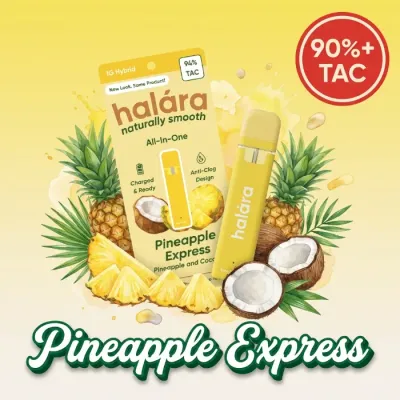 HIGH THC READY TO USE VAPORIZER [1G] PINEAPPLE EXPRESS - 1 G
