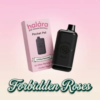 POCKET PAL BATTERY 800MAH [FORBIDDEN ROSES] - ONE SIZE product image