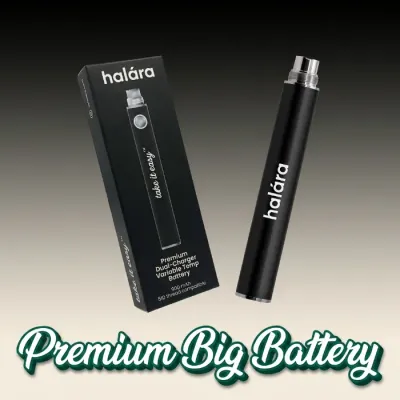 DUAL CHARGE BATTERY (900MAH) [BLACK] - ONE SIZE product image